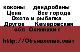 коконы    дендробены › Цена ­ 25 - Все города Охота и рыбалка » Другое   . Кемеровская обл.,Осинники г.